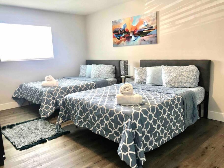 Solymar II Miami Beach House المظهر الخارجي الصورة